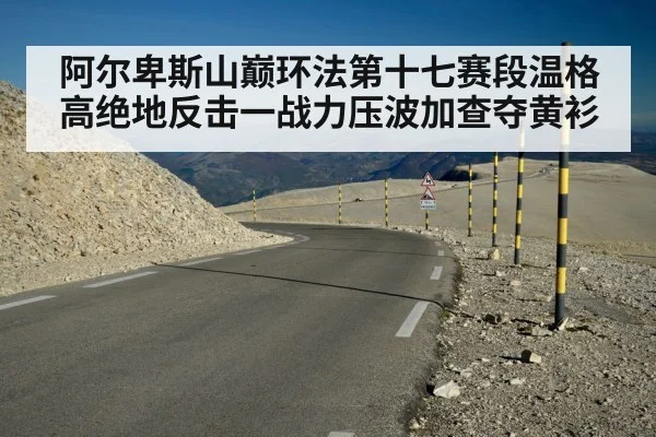 阿尔卑斯山巅环法第十七赛段温格高绝地反击一战力压波加查夺黄衫