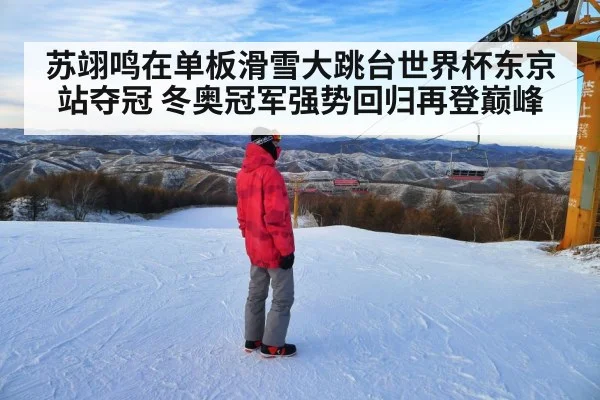 苏翊鸣在单板滑雪大跳台世界杯东京站夺冠 冬奥冠军强势回归再登巅峰